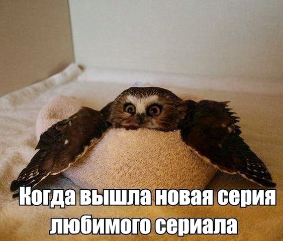 Хостинг картинок yapx.ru