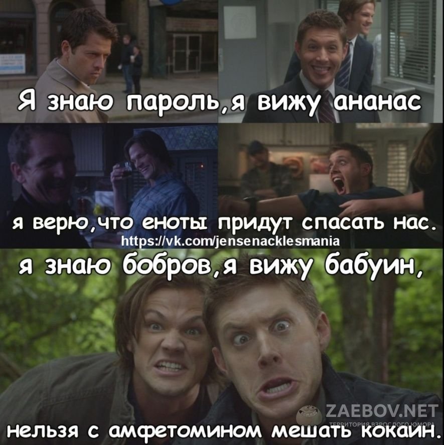 Хостинг картинок yapx.ru