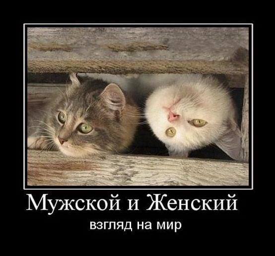 Хостинг картинок yapx.ru