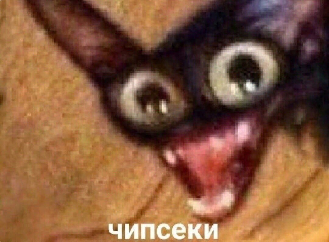 Хостинг картинок yapx.ru