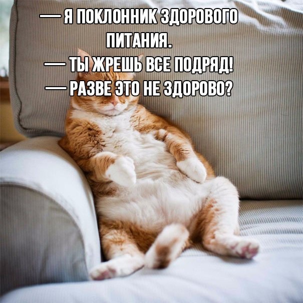 Хостинг картинок yapx.ru