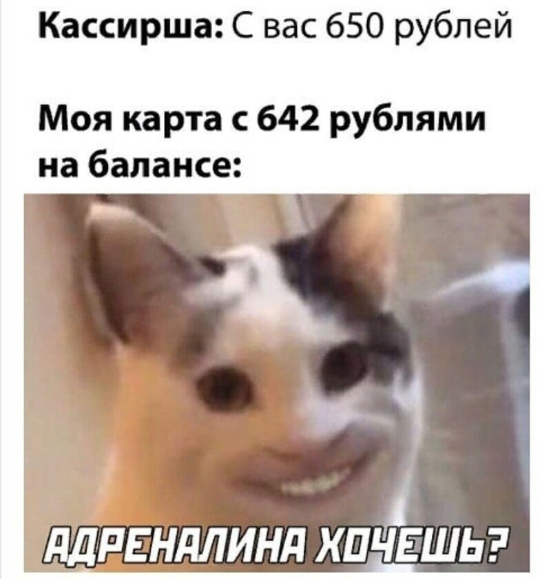 Хостинг картинок yapx.ru