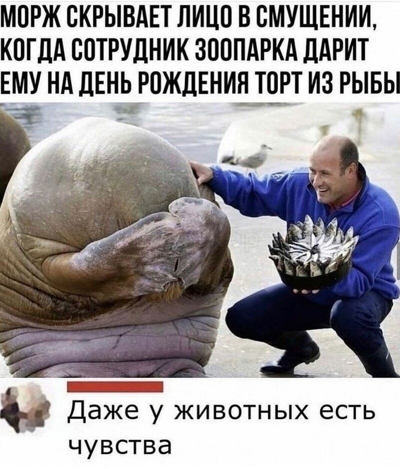 Хостинг картинок yapx.ru