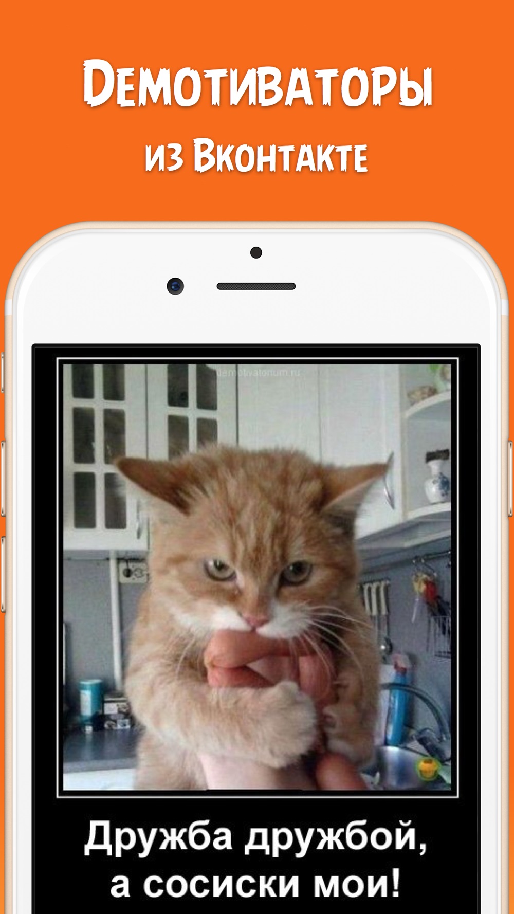 Хостинг картинок yapx.ru