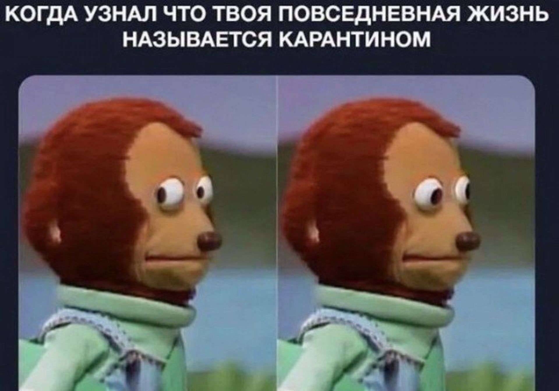 Хостинг картинок yapx.ru