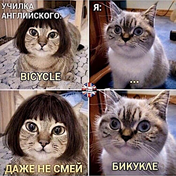 Хостинг картинок yapx.ru