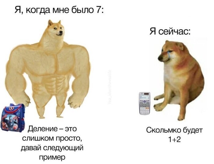 Хостинг картинок yapx.ru