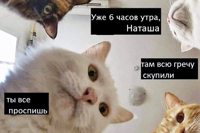 Хостинг картинок yapx.ru