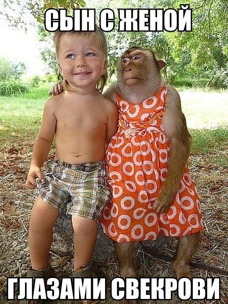 Хостинг картинок yapx.ru