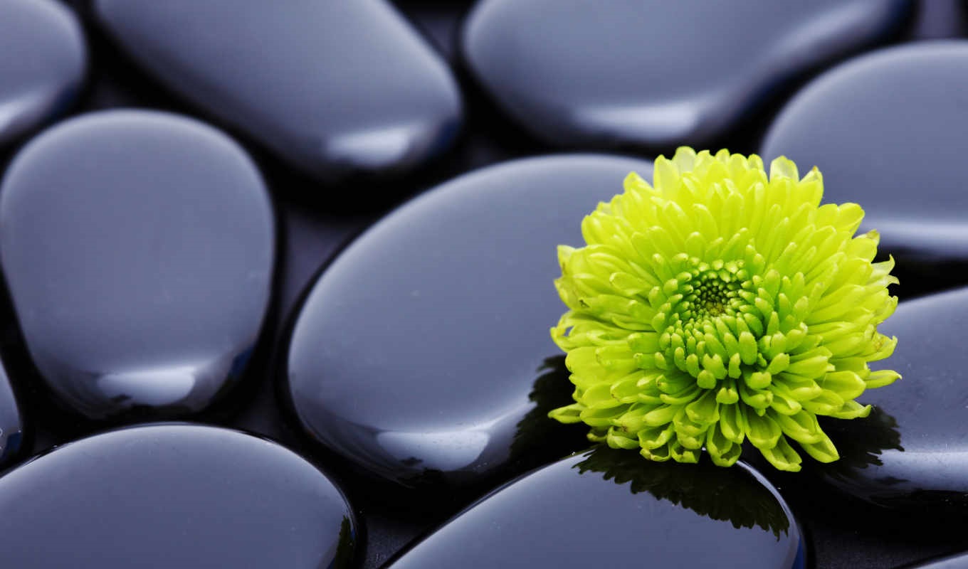 Хостинг картинок yapx.ru