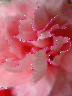 Хостинг картинок yapx.ru