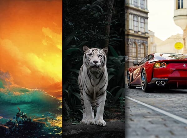 Хостинг картинок yapx.ru