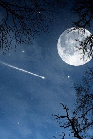 Хостинг картинок yapx.ru