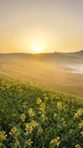 Хостинг картинок yapx.ru