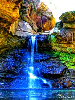 Хостинг картинок yapx.ru