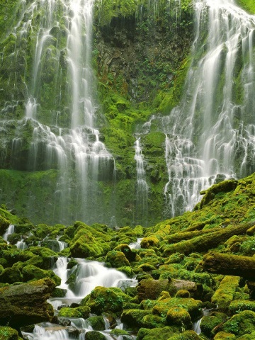 Хостинг картинок yapx.ru