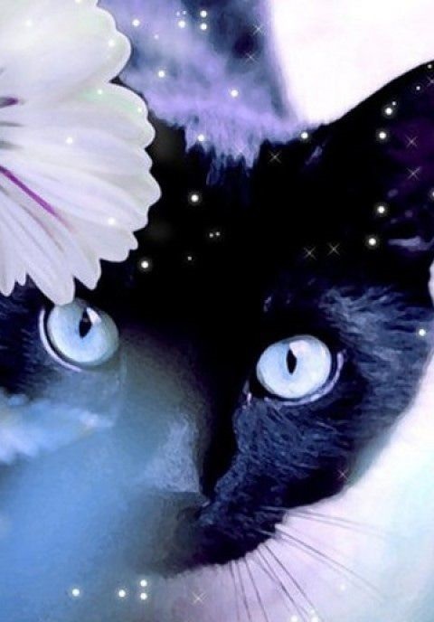 Хостинг картинок yapx.ru