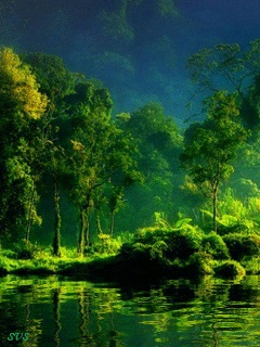 Хостинг картинок yapx.ru