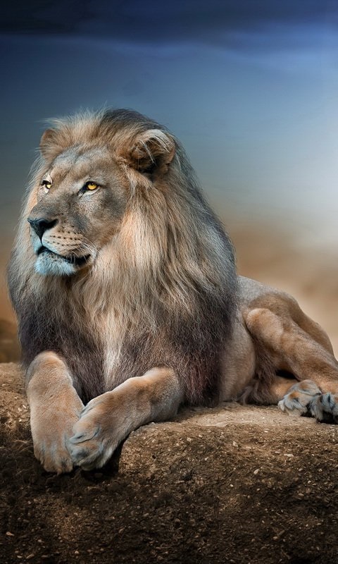 Хостинг картинок yapx.ru