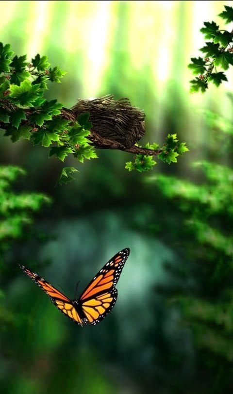 Хостинг картинок yapx.ru