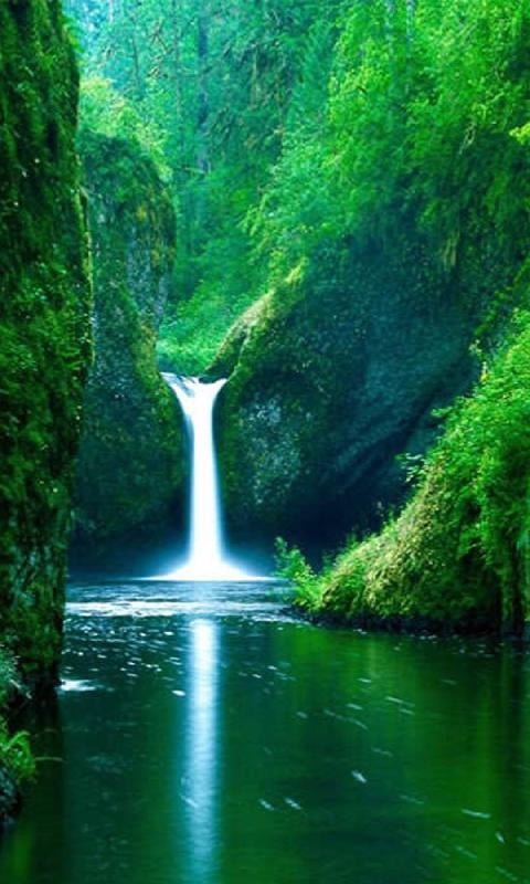 Хостинг картинок yapx.ru