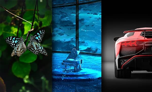 Хостинг картинок yapx.ru