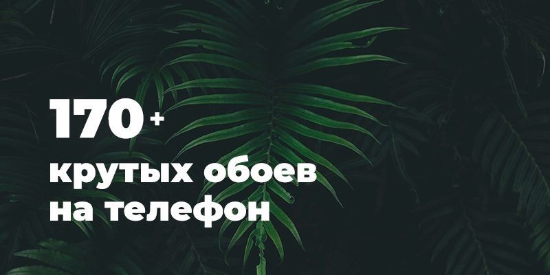 Хостинг картинок yapx.ru