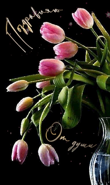 Хостинг картинок yapx.ru