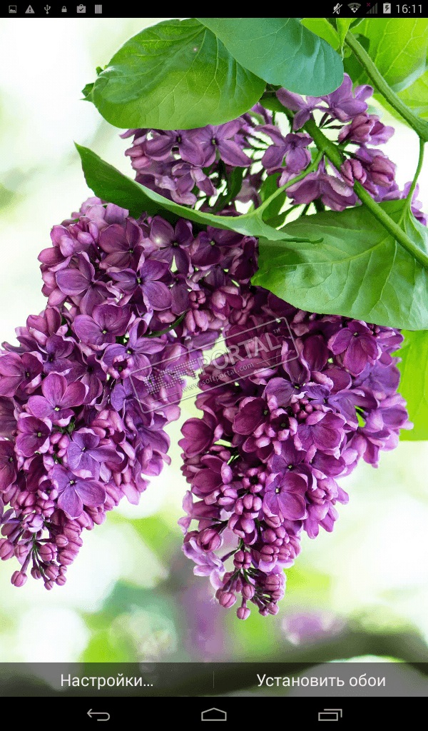 Хостинг картинок yapx.ru