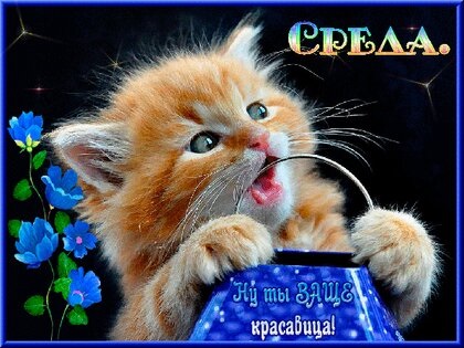 Хостинг картинок yapx.ru