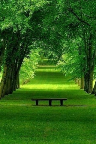 Хостинг картинок yapx.ru