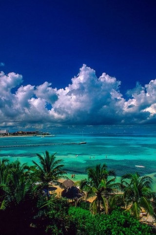 Хостинг картинок yapx.ru