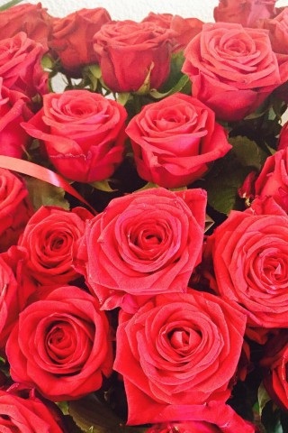 Хостинг картинок yapx.ru