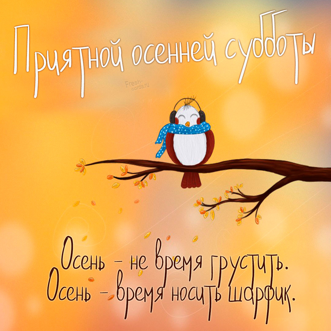 Хостинг картинок yapx.ru