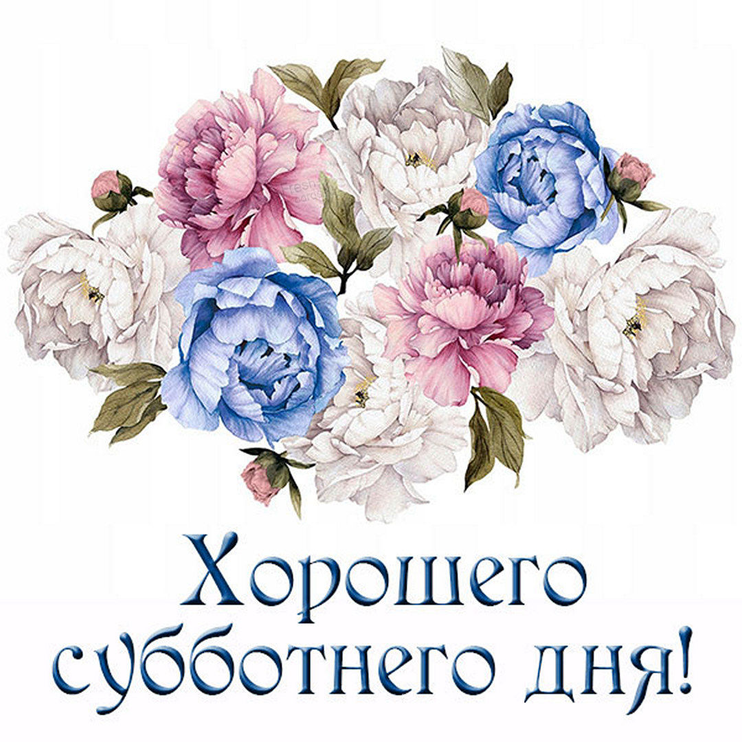 Хостинг картинок yapx.ru