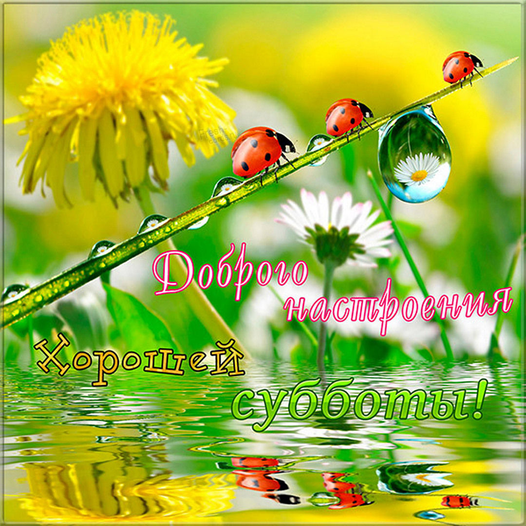 Хостинг картинок yapx.ru