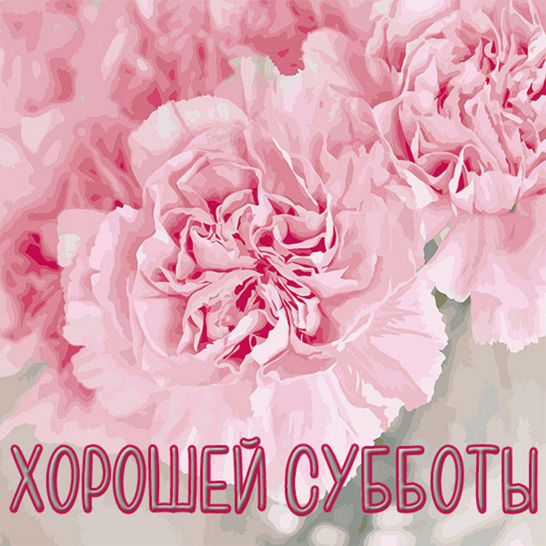 Хостинг картинок yapx.ru