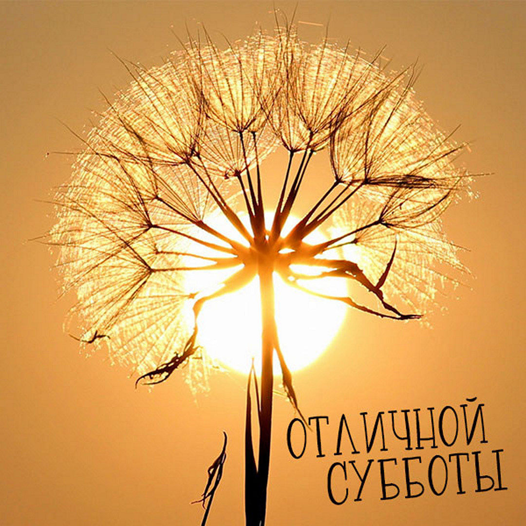 Хостинг картинок yapx.ru