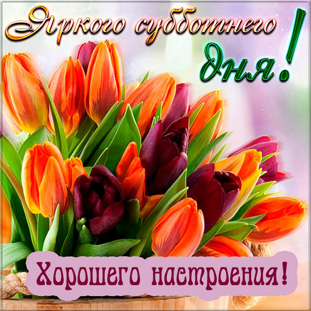 Хостинг картинок yapx.ru