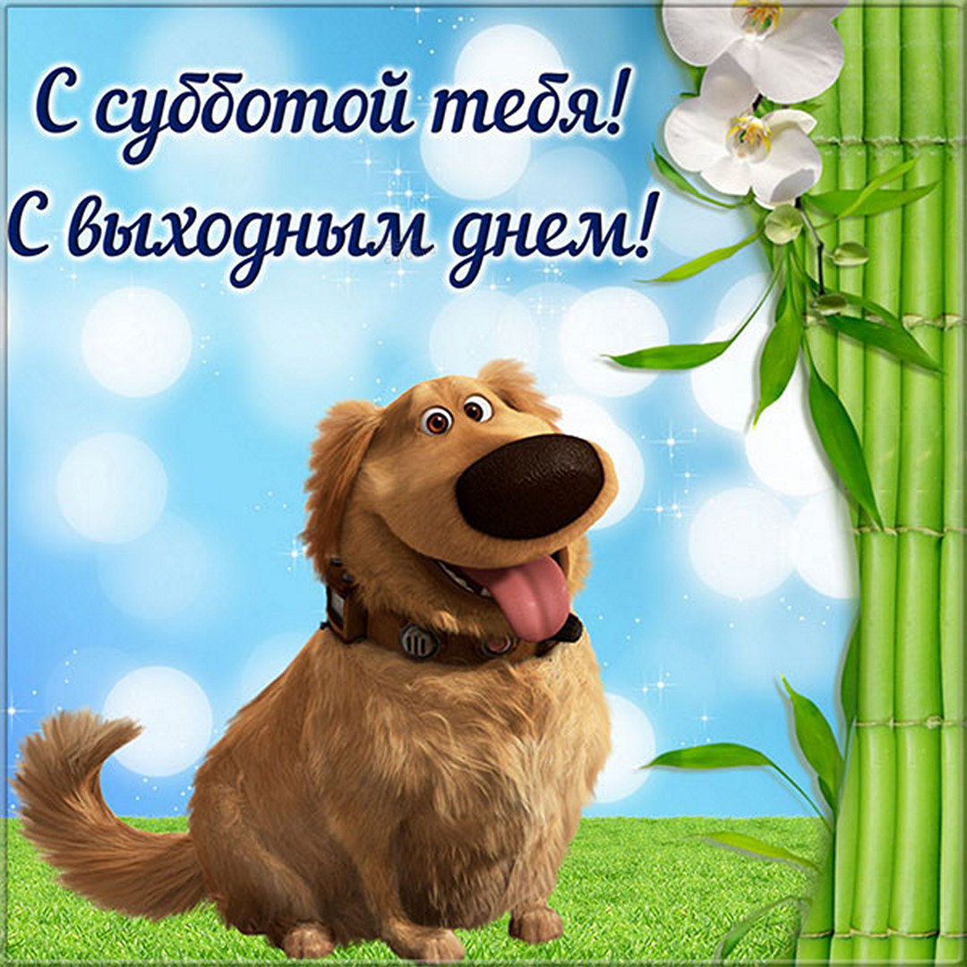 Хостинг картинок yapx.ru