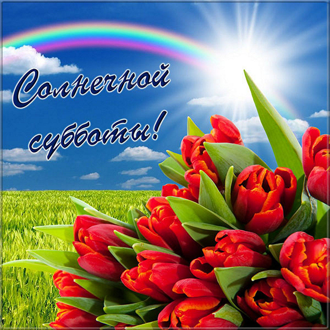 Хостинг картинок yapx.ru