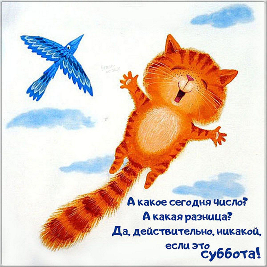 Хостинг картинок yapx.ru