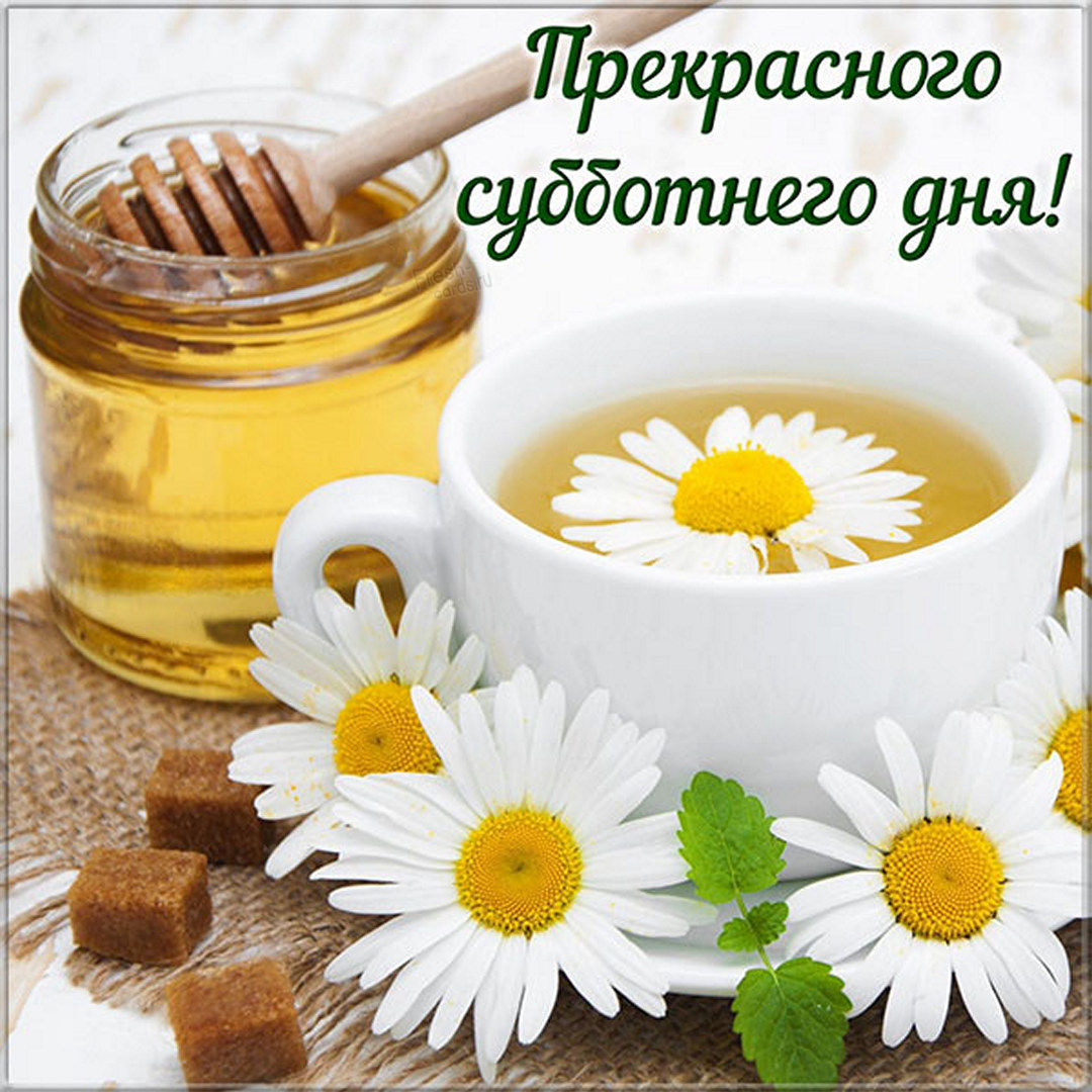 Хостинг картинок yapx.ru