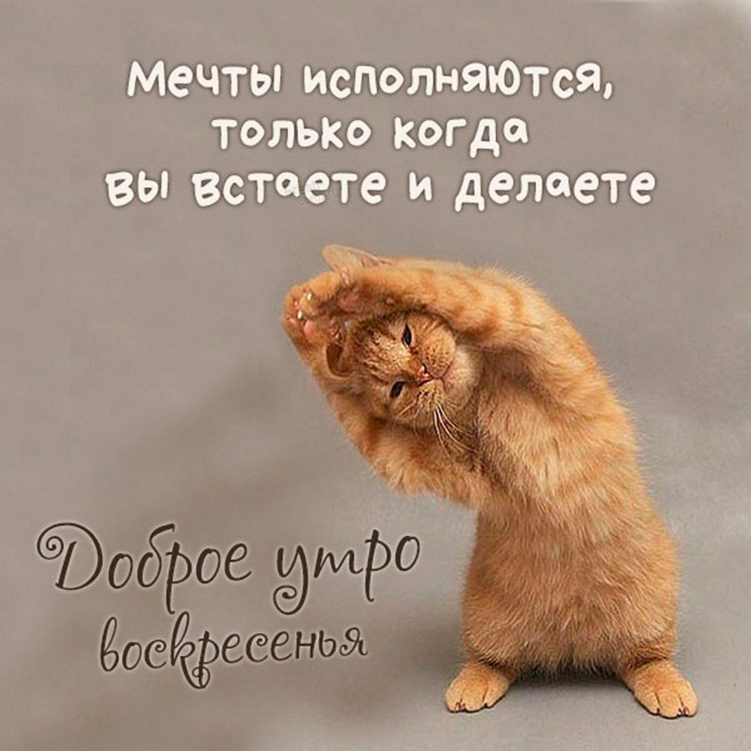 Хостинг картинок yapx.ru