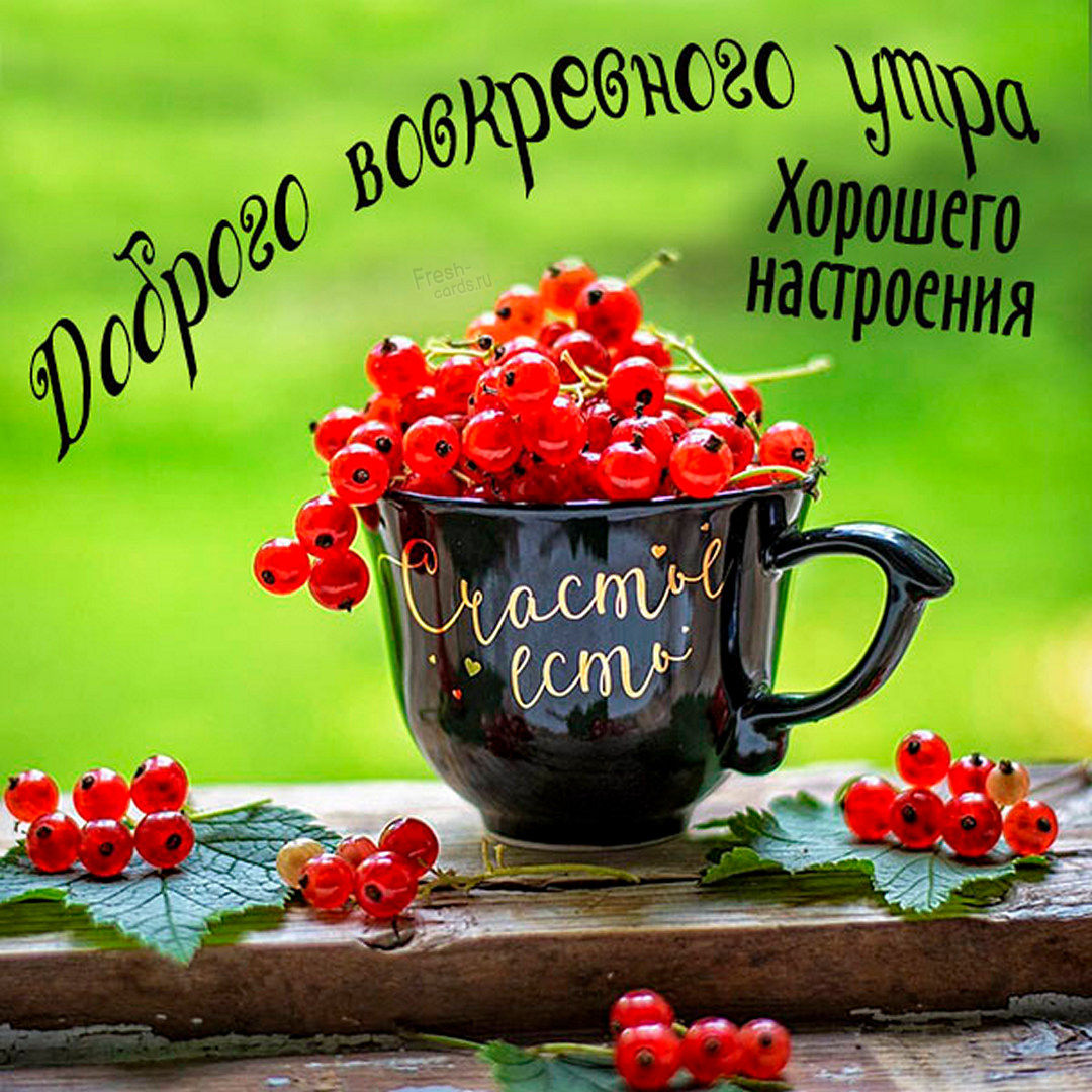 Хостинг картинок yapx.ru