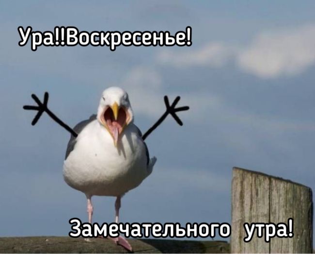 Хостинг картинок yapx.ru