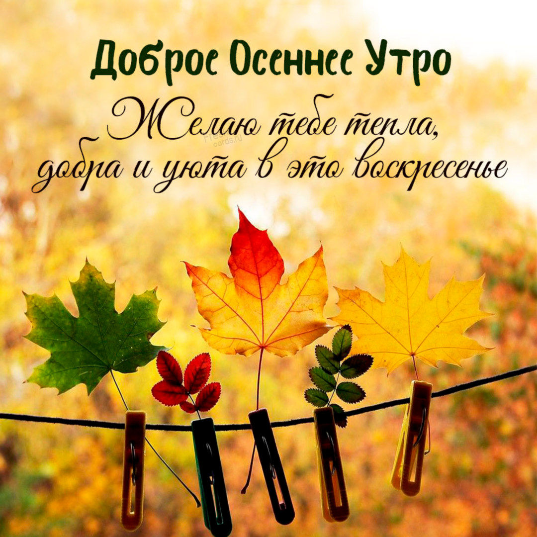 Хостинг картинок yapx.ru