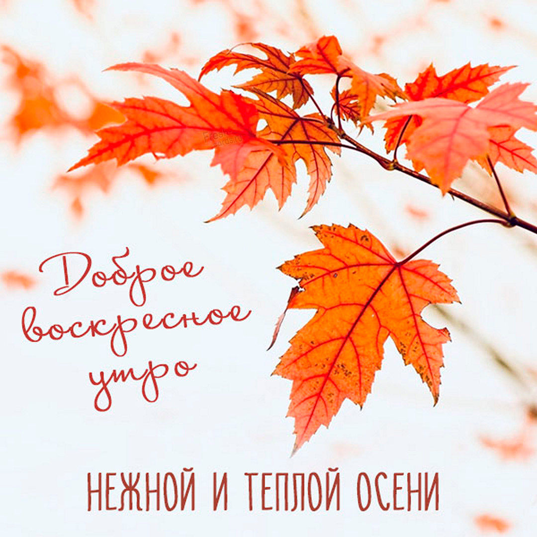 Хостинг картинок yapx.ru