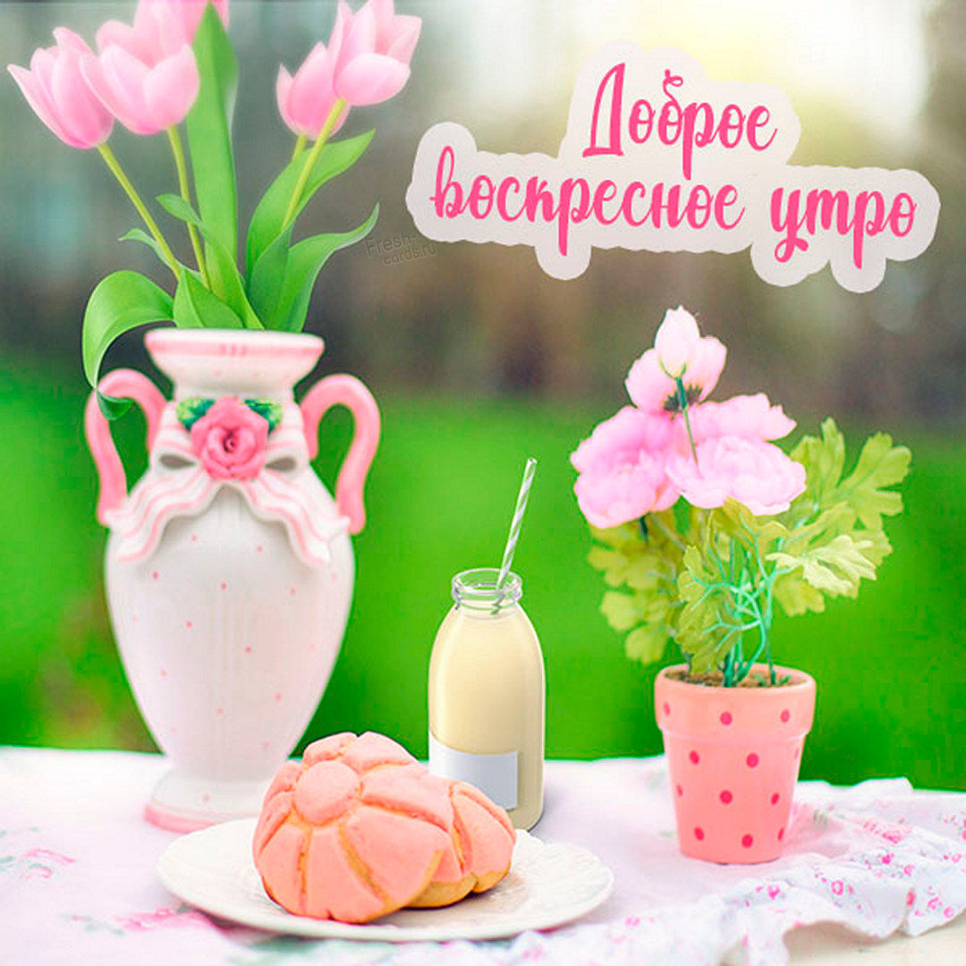 Хостинг картинок yapx.ru