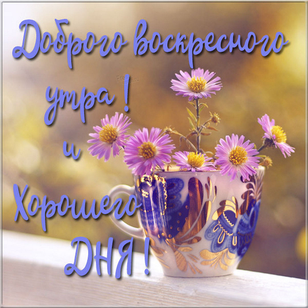 Хостинг картинок yapx.ru